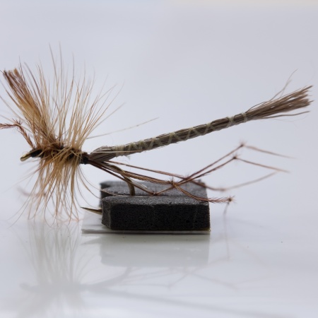Daddy Long Legs  Extended Body Dry Fly
